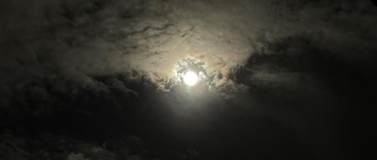 Les Pensées Tues.
Fragments d'une Identité.