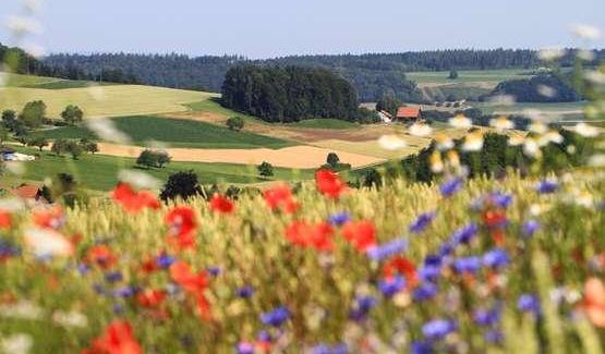 Ecologie/environnement