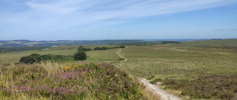 Voyages en impermanence - Everchanging