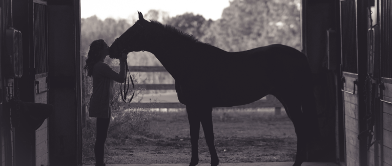 Écurie Kevyn Thonnerieux