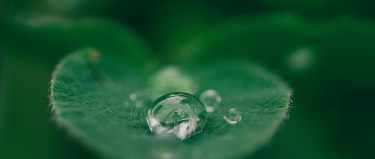 Sustainability