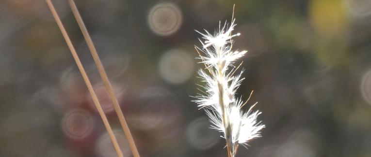 Petites inspirations