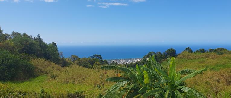 L'appel de la Réunion
