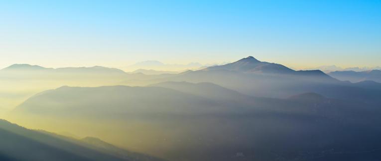 La chambre aux fougères