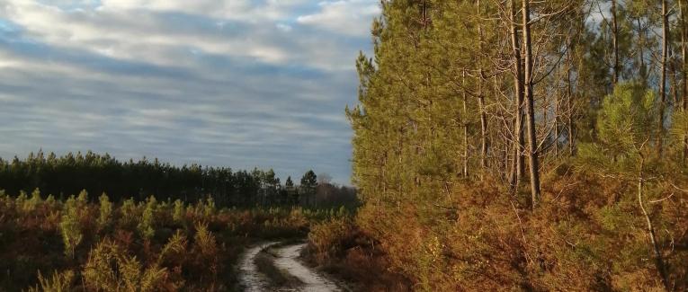 Mon corps, ma solitude et moi