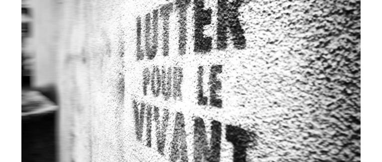 En 5 textes en 5 cycles