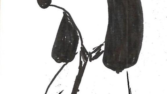Projet chien