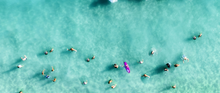 Culture [Open] Opale