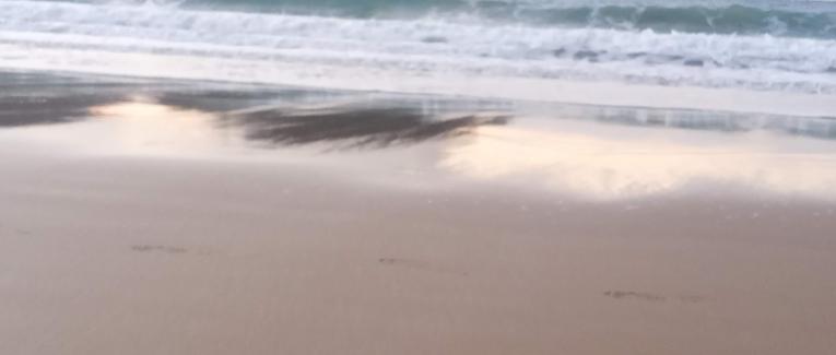 A corazón abierto
Breves relatos.