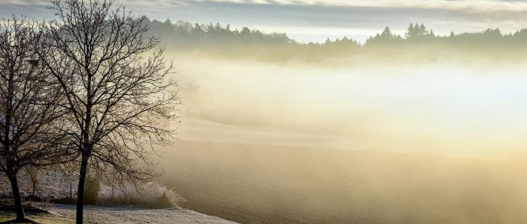# Le Monde de Demain