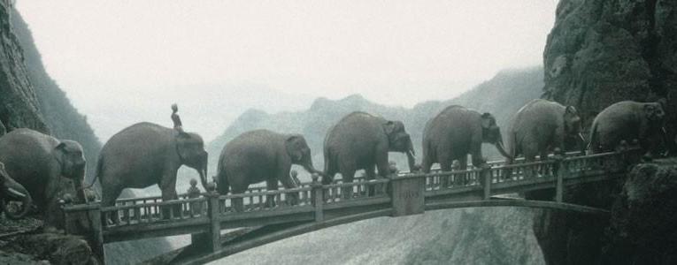 Réseautons nos neurones