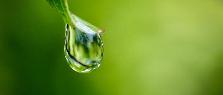H2o