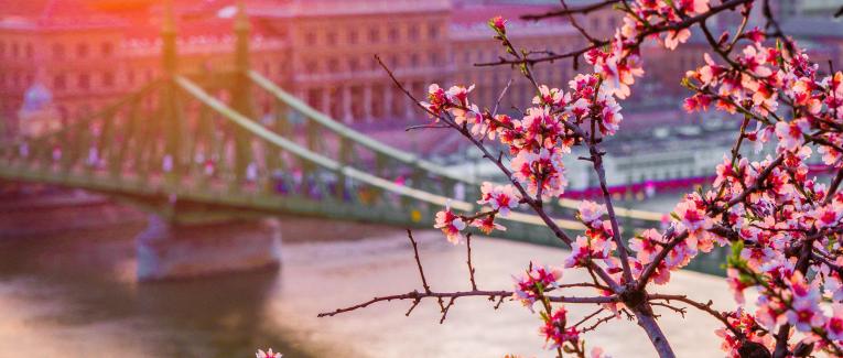 Magyar nyelvű írások (Stories Written in Hungarian)