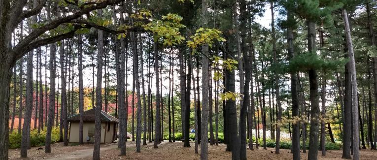 Haïkus et autres "japonaiseries"