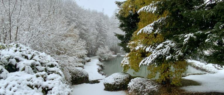 Saisons