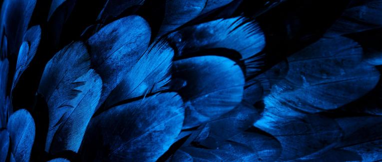 Living the Intuitive Creative Life