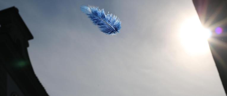 Dans l'entre d'eux, la plume...