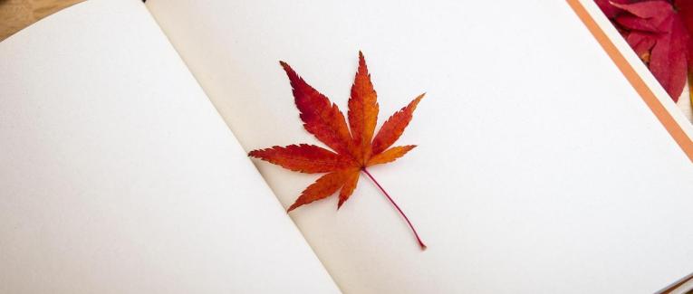 Confidences d'autrice