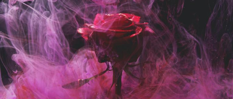 Love is the air