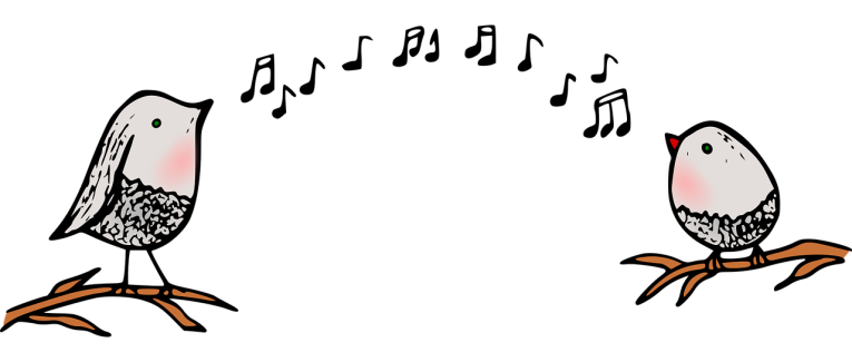 Partage de mes musiques lambda
