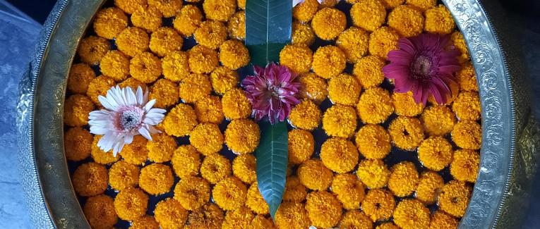 Impressions népalaises