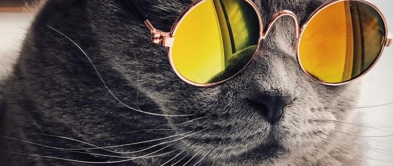 Henri le Boulanger (ou Une Dystopie en June)