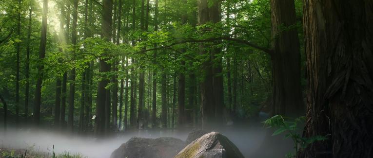 UNE VIE AU GRAND AIR