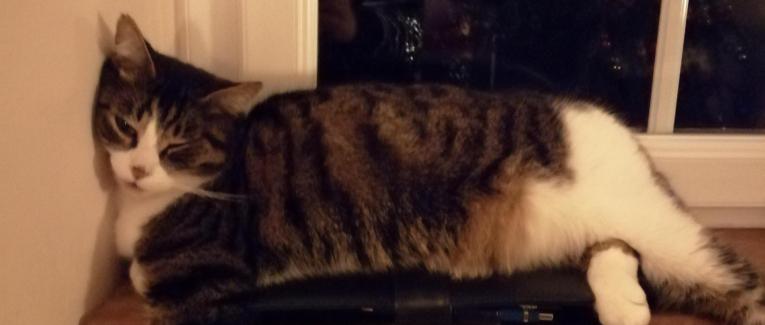 NOTES POUR MOI-MÊME...