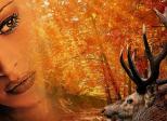 Rut