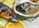 Coquille