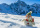 L'enigmatique surfeur des neiges