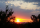 Le Soleil du bal