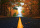 Ma plume part sur les routes