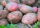 Par-menteries