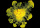 Le Virus et le Blob