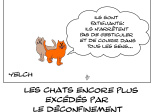 les chats apprécient encore moins le déconfinement