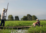 La crise agricole dans le Delta du Mékong