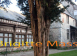 Une maison du XVIe siècle d'Harfleur est située à Fécamp
