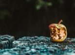 Trouve ta niche est un très mauvais conseil. Voici pourquoi. 