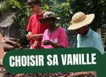 Le Guide Ultime de la Vanille : De l'Orchidée à la Gousse, Tout Comprendre sur la vanille