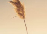 Auteure ? Ecrivaine ou simple fan de l'écriture ? 