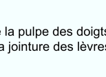 De la pulpe des doigts à la jointure des lèvres