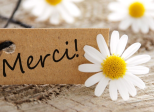 Merci