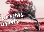 Aux vents errants