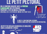 Ces muscles méconnus : le petit pectoral