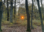 Small Blue Poem About Compassion