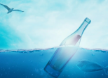 BOUTEILLE   A  LA  MER