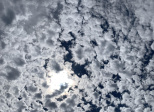 CHAPITRE 15: LA CICATRICE