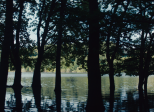 Ogre (2022) Arnaud Malherbe