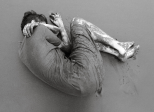 Folie